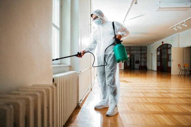 Best Fumigation Services  in Fort Drum, NY